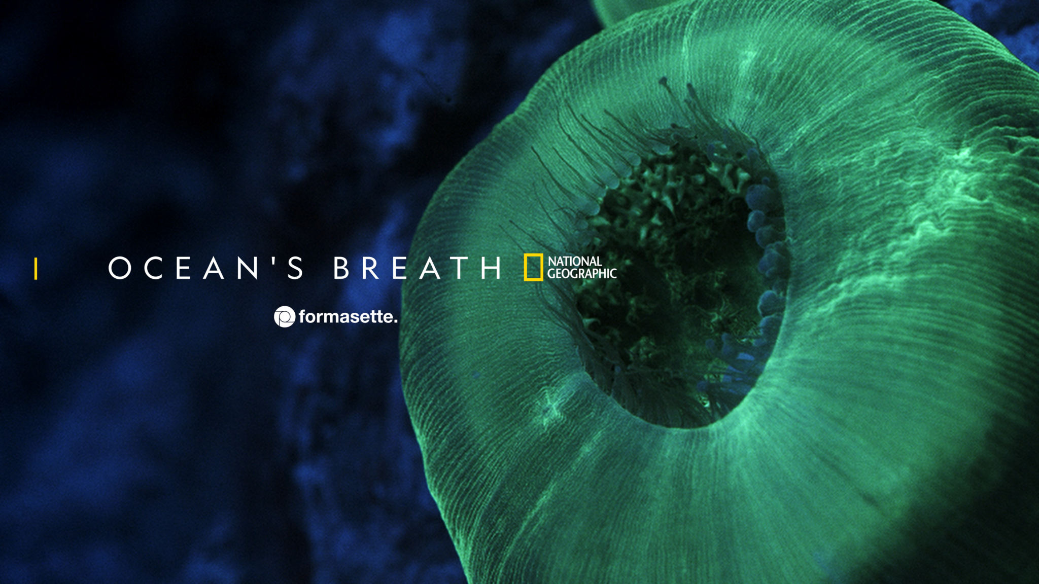 Ocean’s Breath