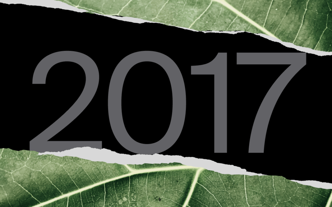 Giornate degli Autori 2017, Looking for Oum Kulthum di Shirin Neshat (NCN 2013) and three Italian features in the line-up.
