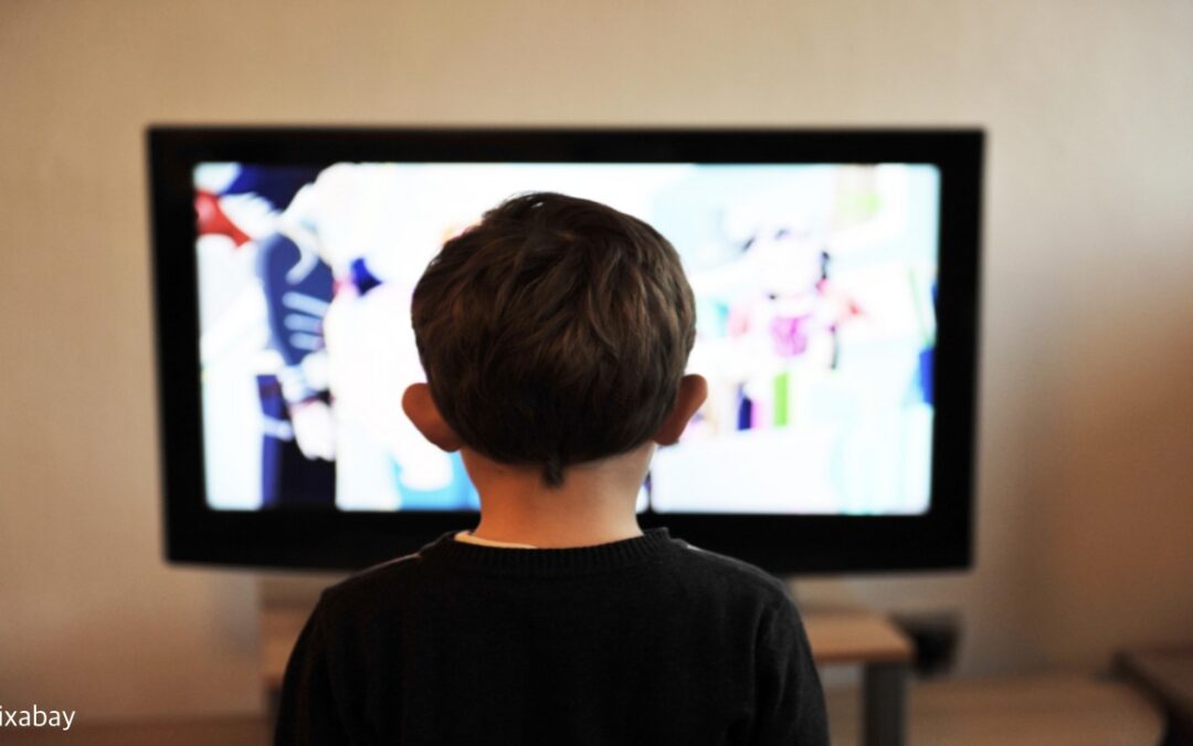 FeST – Tv Series Festival starts in september