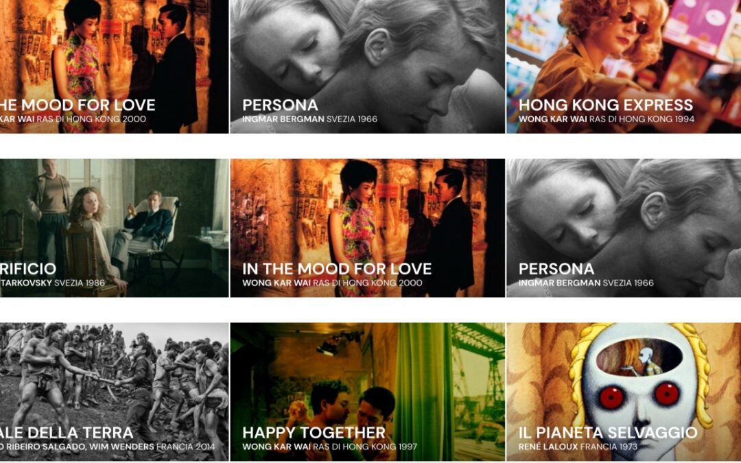 MUBI plans to evolve into a film studio