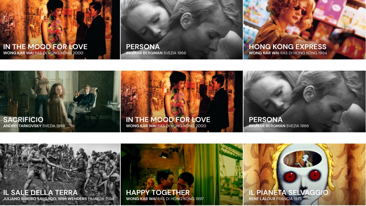 MUBI plans to evolve into a film studio