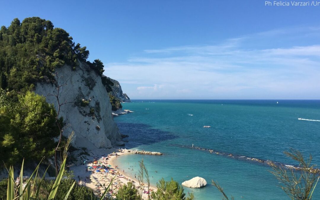 Regione Marche, €16 million for cine-tourism