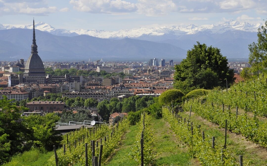 Piemonte Film Tv Development Fund. All the information about the new call