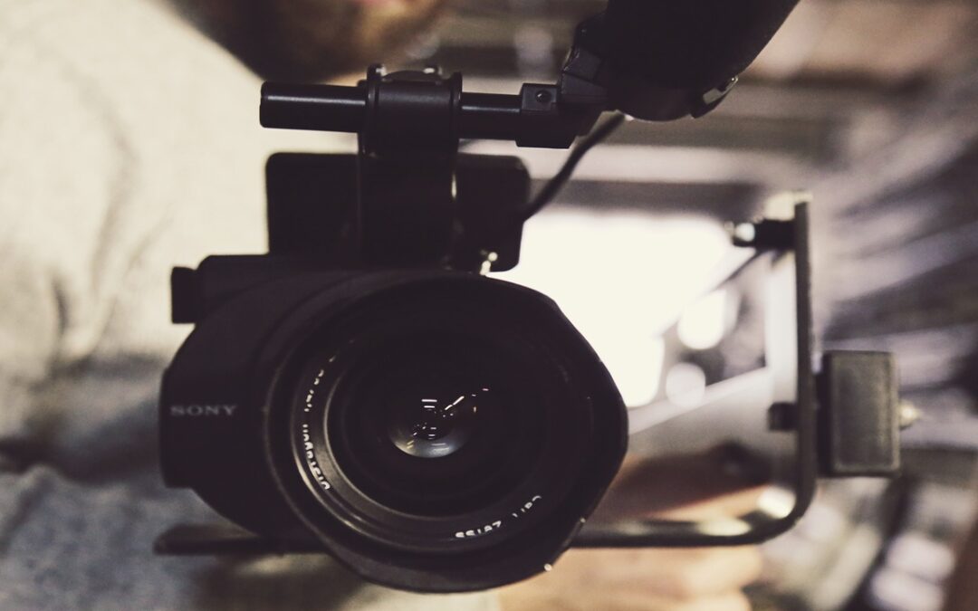 Emilia-Romagna supports creative and cultural industry with two calls for proposals dedicated to training