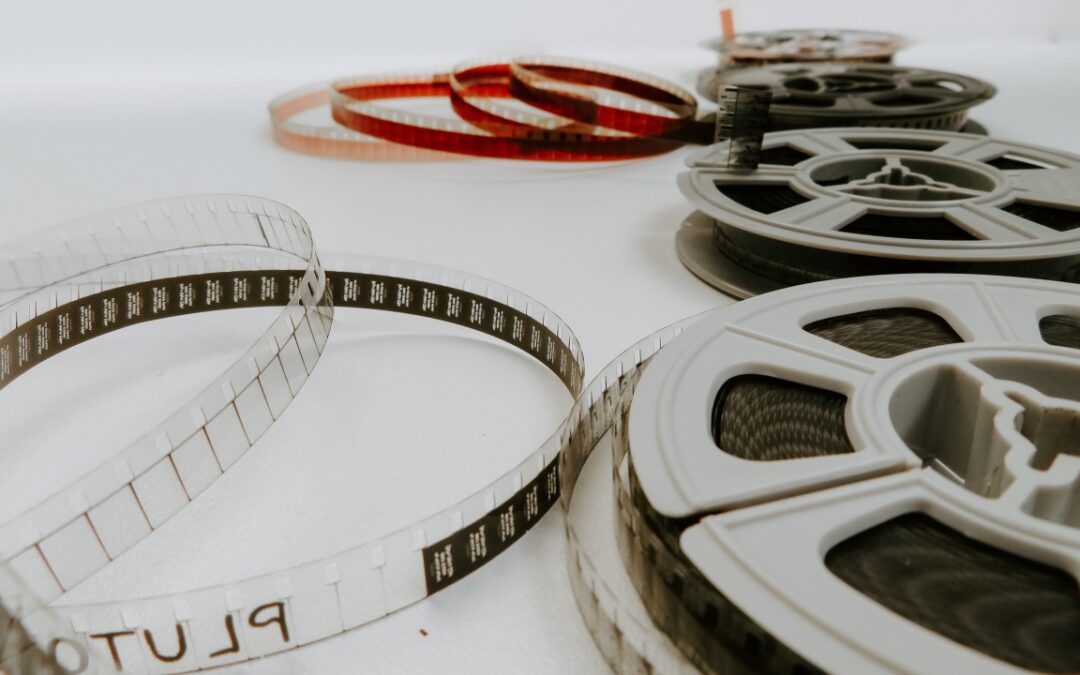 Oscar 2024, nominations for best international film