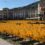 New edition of Locarno Film Festival