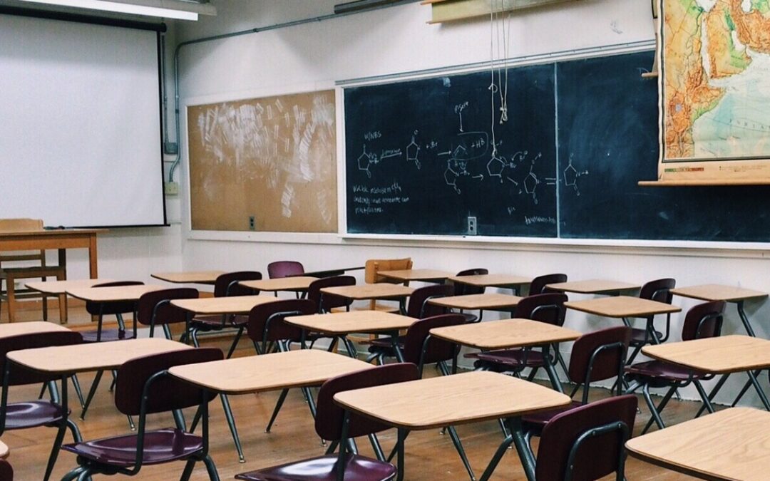 Cips, cinema per la scuola. Gli esiti del bando