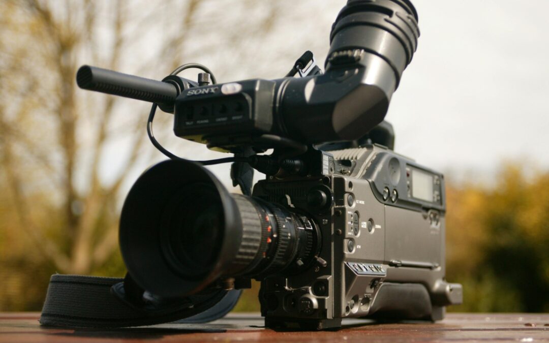 Campagna Cinema Revolution 2024, risultati positivi