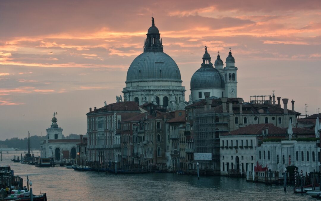 Novità di Venezia 2024, una sezione per le serie TV