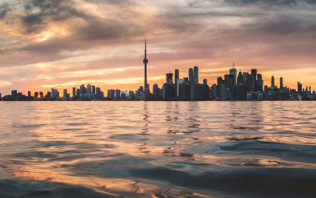 Al via la 49esima edizione del Toronto International Film Festival