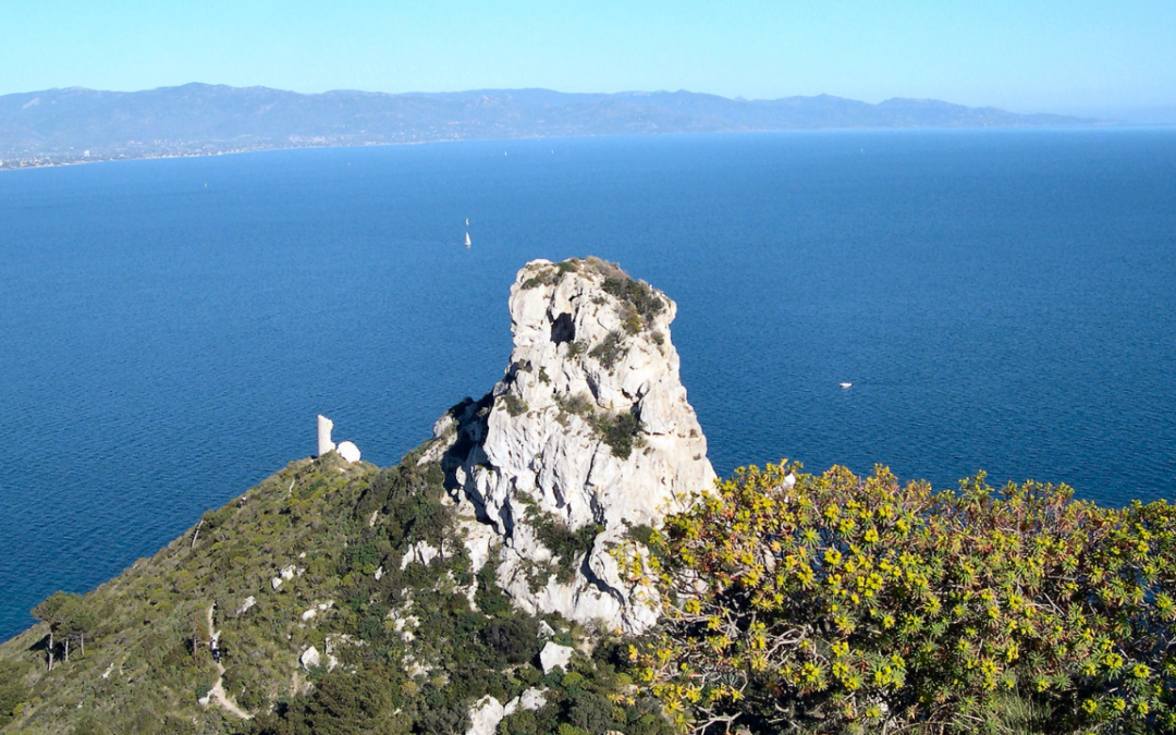 Filming Italy Sardegna Festival: chiusa l’ottava edizione