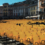 Locarno Film Festival: i vincitori della 78ª edizione