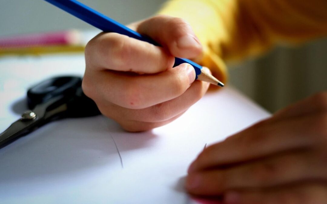 Cinema and Schools: 138 Projects Funded Across Italy