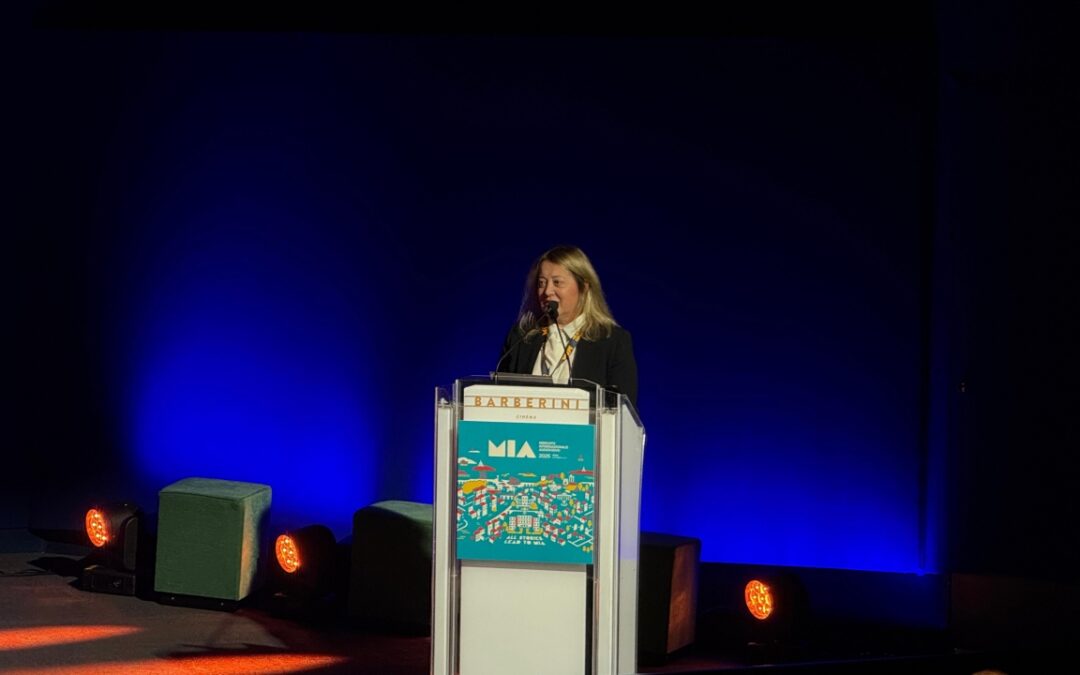 APA: 7th REPORT ON THE ITALIAN AUDIOVISUAL INDUSTRY