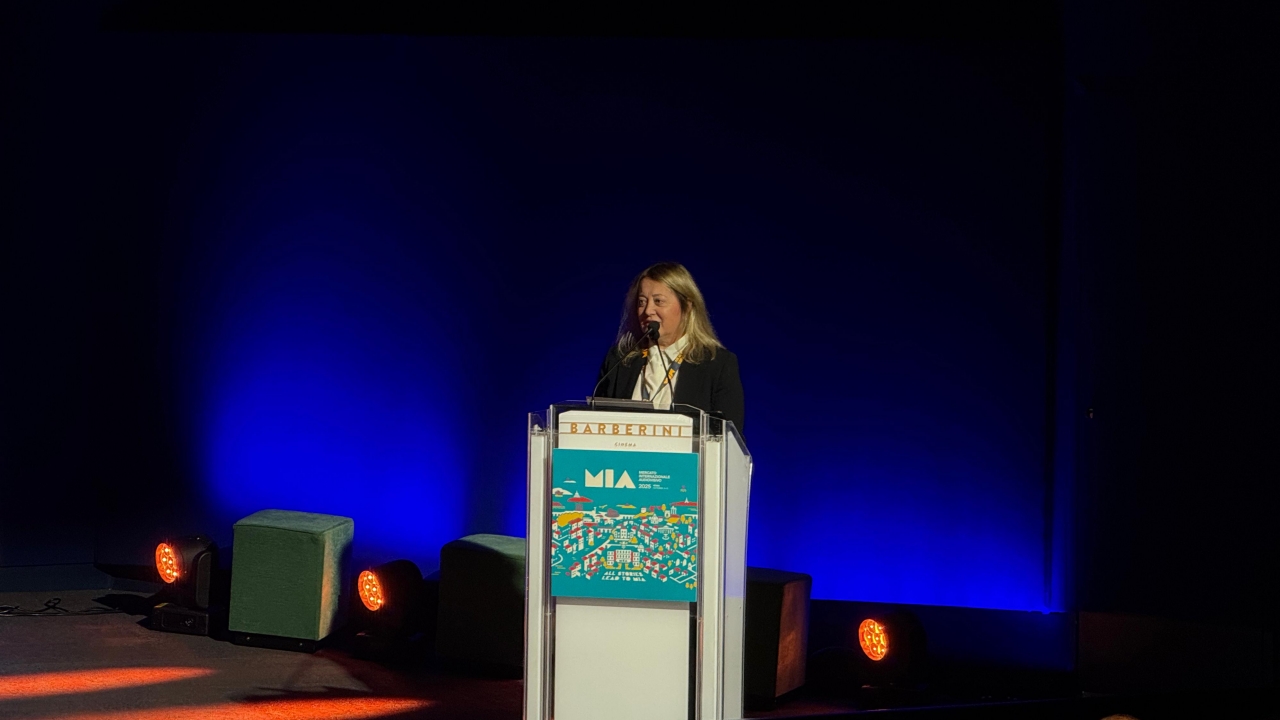 APA: 7th REPORT ON THE ITALIAN AUDIOVISUAL INDUSTRY