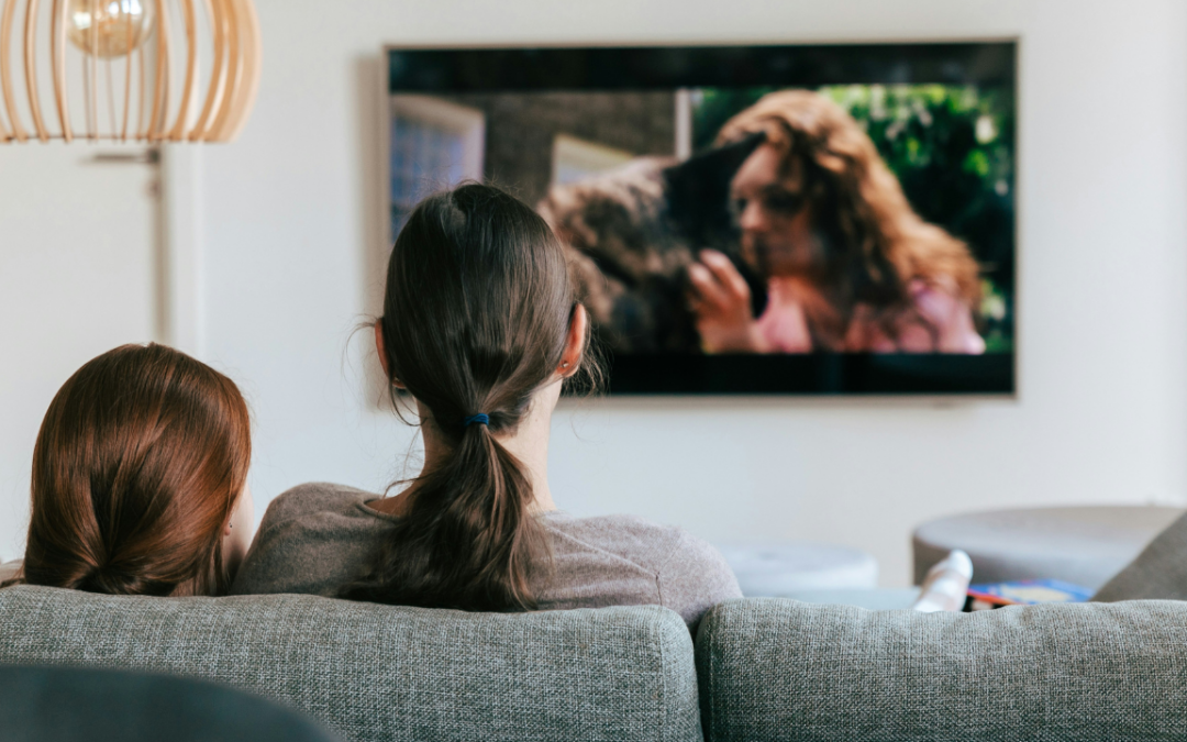 Northern Star Project: Northern European public broadcasters join forces for children’s TV drama